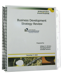 Business Development Strategy Review Report Cover